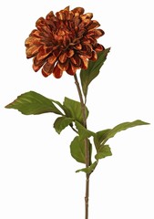 Dahlia Ø 13 cm, terciopelo 'Glamour' con 3 juegos de hojas, 58 cm