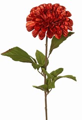Dahlia Ø 13 cm, terciopelo 'Glamour' con 3 juegos de hojas, 58 cm
