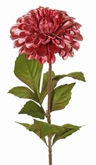 Dahlia Ø 13 cm, terciopelo 'Glamour' con 3 juegos de hojas, 58 cm