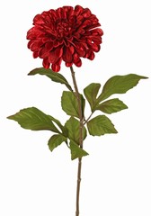 Dahlia Ø 13 cm, terciopelo 'Glamour' con 3 juegos de hojas, 58 cm
