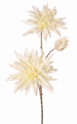 Dahlia branch with 2 flowers (1x Ø 15cm, 1x Ø 13cm) and a bud, stem color: gold, 69cm, "Winter Dream"