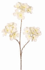Hydrangea branch with 3 flower heads (3x Ø 10 cm), stem color: gold, 66 cm "Winter Dream"