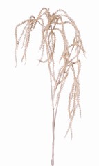 Amaranthus hanger 2x vertakt met 37 aren, whitewashed, 127 cm