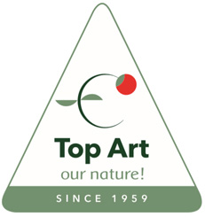 Top Art Logo